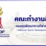 คณะทำงานอื่นๆ – กองทุนพัฒนาการกีฬาแห่งชาติ (NSDF)